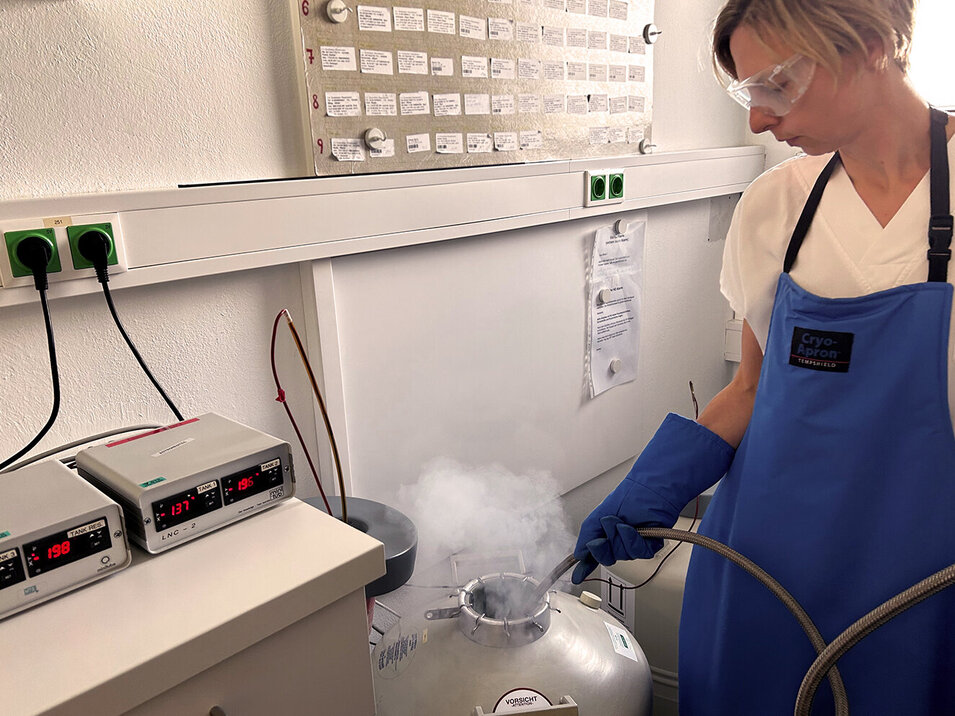 Foto: Gesundheit Burgenland Kryokonservierung