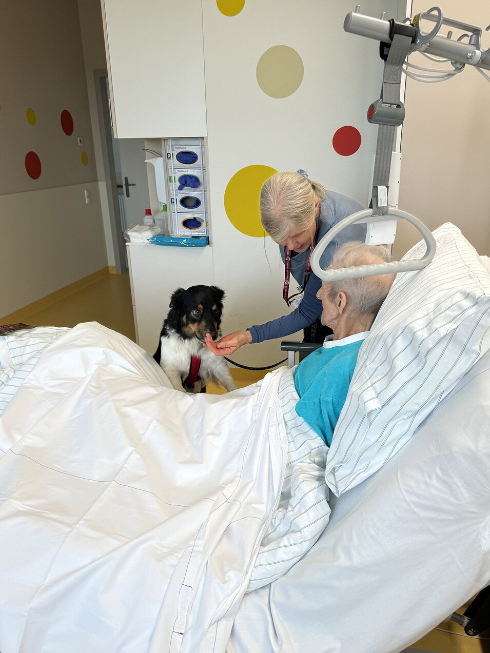 Hund Lotte im Kontakt mit einem Palliativpatienten