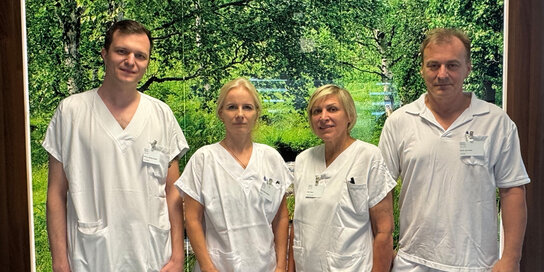 Vier Personen in weißen Kitteln stehen vor einem  Landschaftsbild