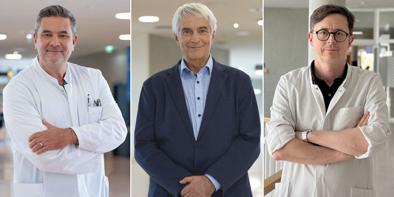 Portraits Andreas Ochsenhofer, Stephan Kriwanek und Wolfgang Dietl