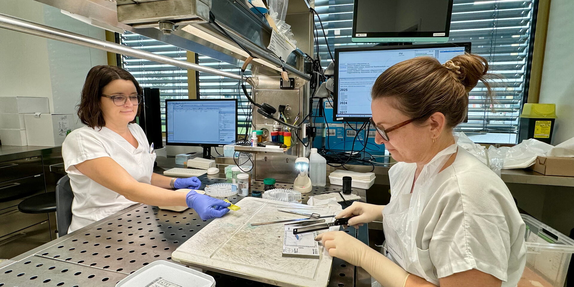 Zwei Frauen arbeiten in einem Labor