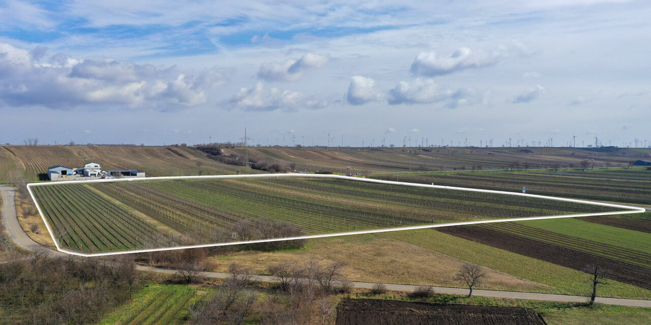 Im Bild: Auf diesem Grundstück ist der Bau der neuen Klinik geplant