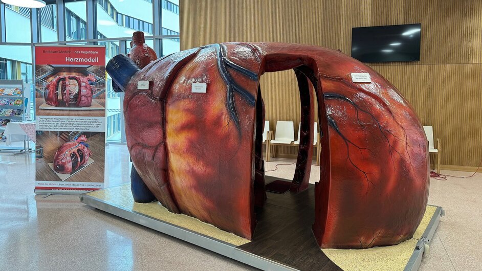 Foto: Gesundheit Burgenland Begehbares Herz