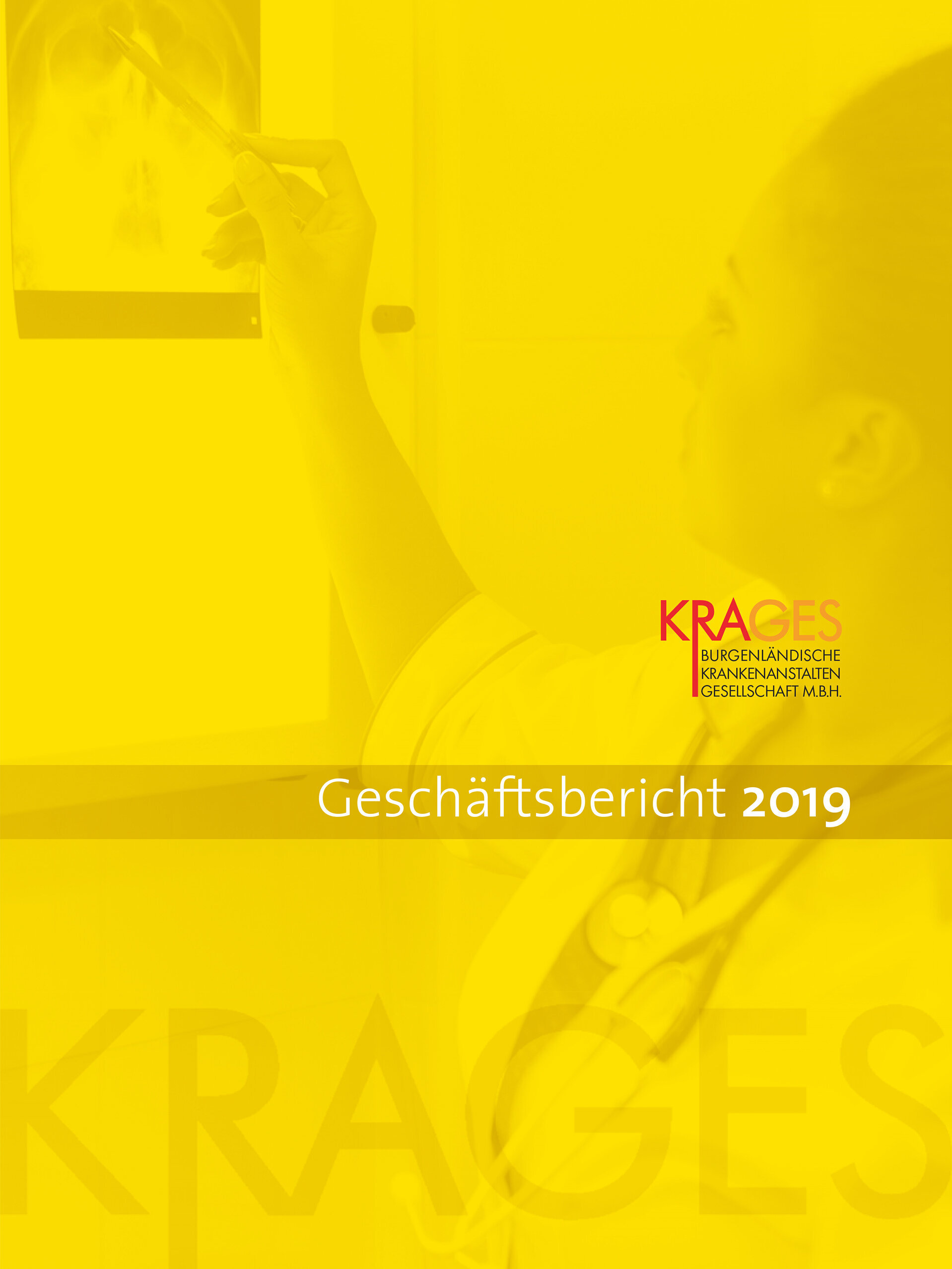 Download für Geschäftsbericht 2019