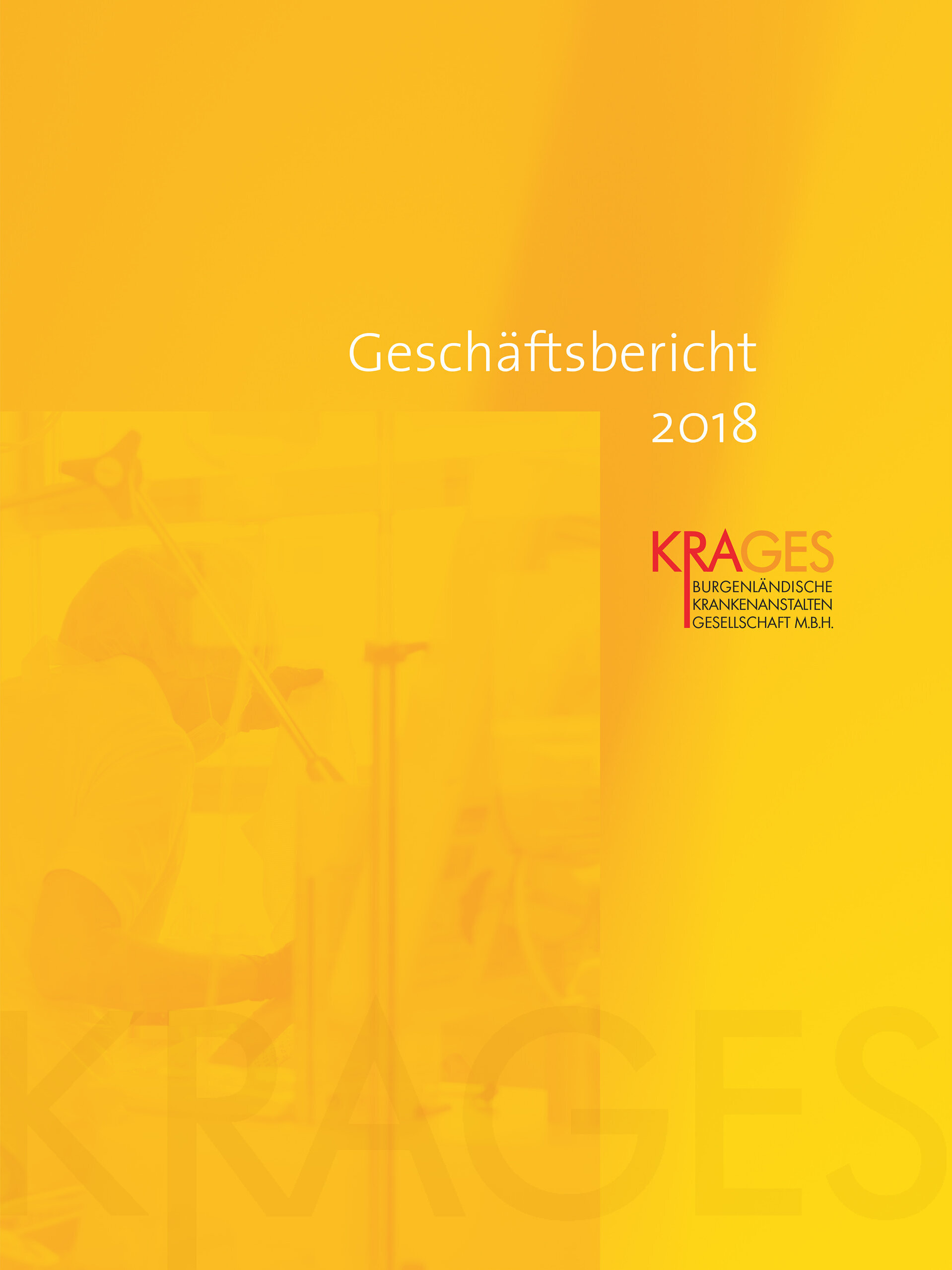 Download für Geschäftsbericht 2018